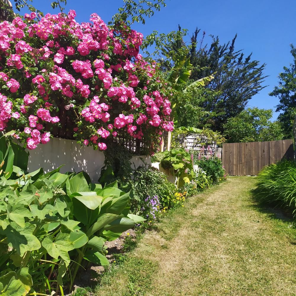 Gite les arums lantic binic