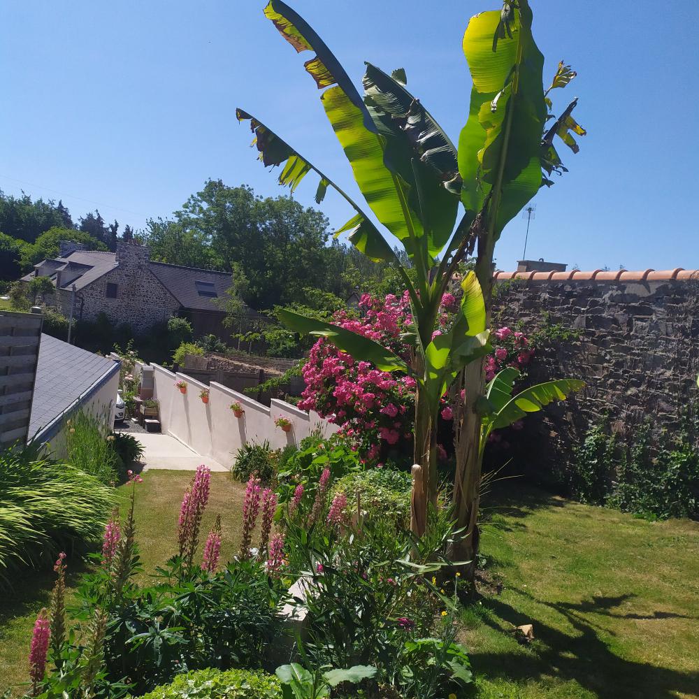 Gite les arums lantic binic